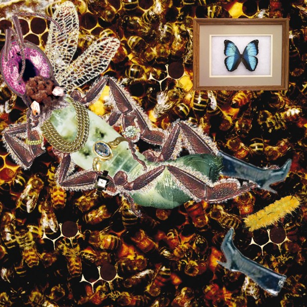 AD1_fashion-victim_2004