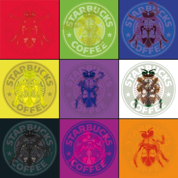 AD1_Jumping-on-the-tai-chi-and-starbucks-chai-tea-bandwagon