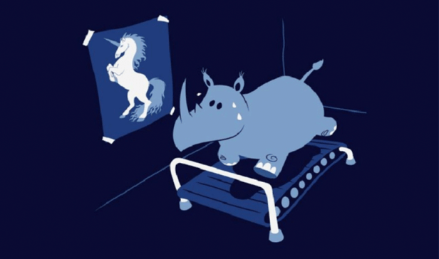 rhino-licorne