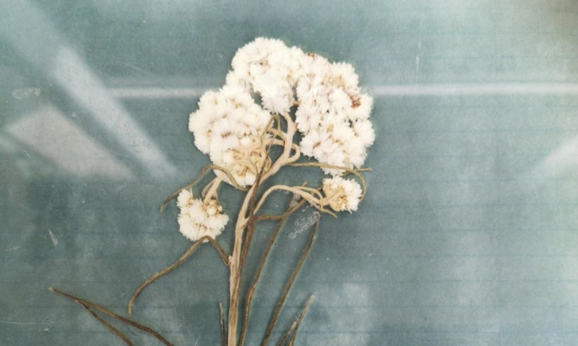 Janie Julien-Fort, Immortelle en cours d’impression, 2020